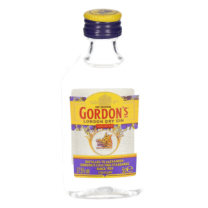 Gordon’s London Dry Gin PET 16X12