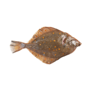Plaice Frozen Whole No.4 80% NW IQF
