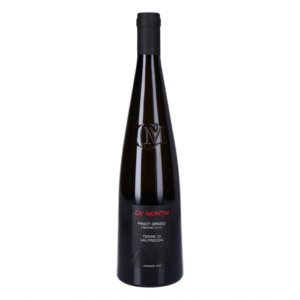 Wine White Italy Trentino/Alto Adige Ca’Montini Pinot Grigio D.O.C. Terre Di Valfredda