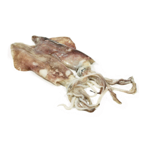 Squid 70-90 90% NW Whole Cleaned Block Frozen