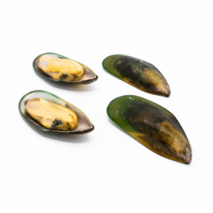 Mussels 30-40 100% NW Green Lip Half Shell IQF