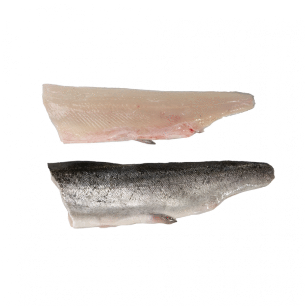 Rainbow Trout Fillet 80-120 Gram 80% NW