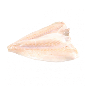 Halibut Fillets Frozen 300-700 Gram 80% NW IQF Skinless Boneless