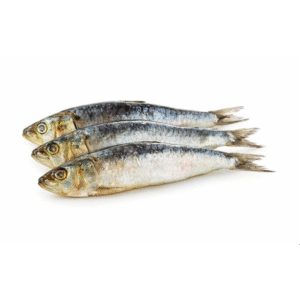 Sardines 90% NW Whole Block Frozen