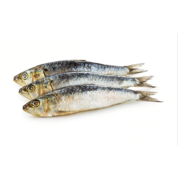 Sardines 90% NW Whole Block Frozen