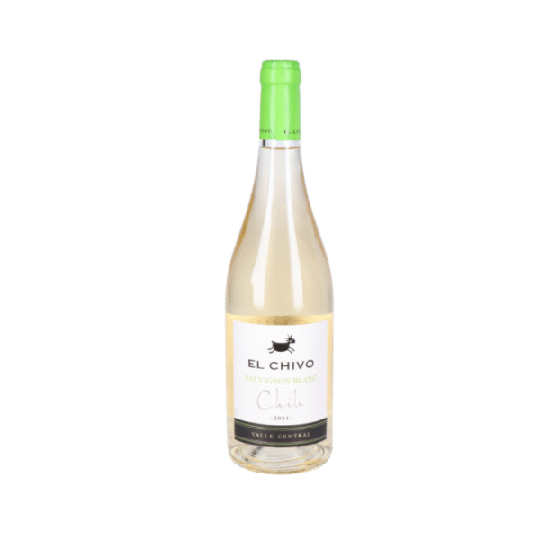 Wine White Chile El Chivo Sauvignon Blanc Central Valley