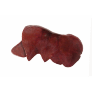 Beef Liver I.W.P. Halal