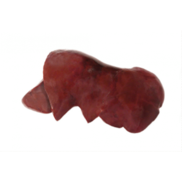 Beef Liver I.W.P. Halal