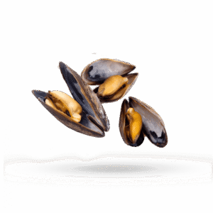 Mussels 40-60 100% NW Whole Cooked Vacuum Packed
