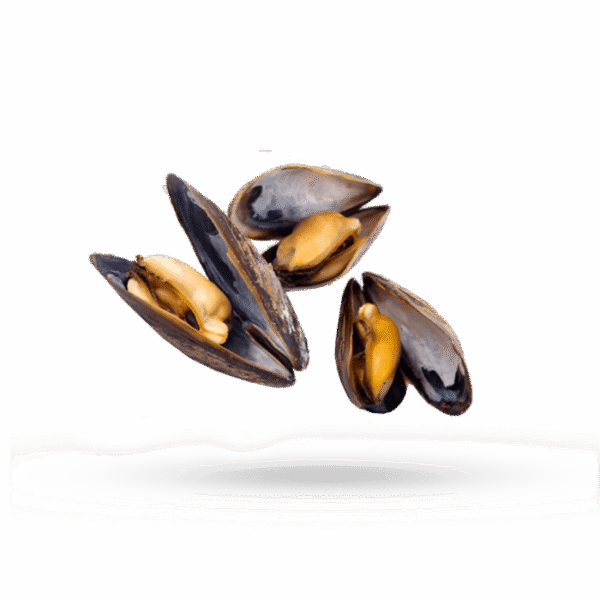 Mussels 40-60 100% NW Whole Cooked Vacuum Packed