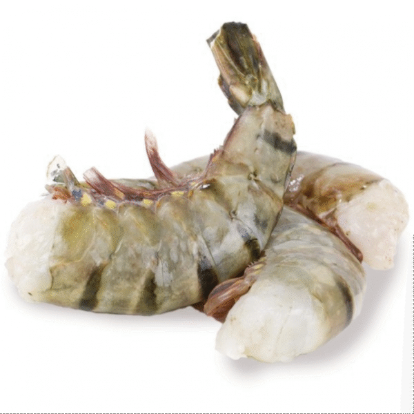 Shrimps Black Tiger 16-20 80% NW Headless Shell On IQF